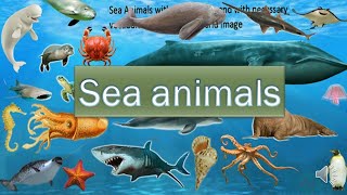 Vocabulary  Sea animals  Le vocabulaire en anglais  Les animaux de la mer [upl. by Allak]