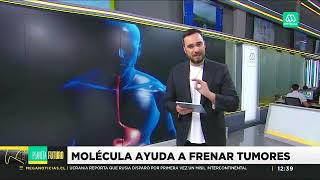 Molécula ayuda a frenar tumoresMeganoticiasDr Eduardo VillablancaKarolinska Institute [upl. by Pax]