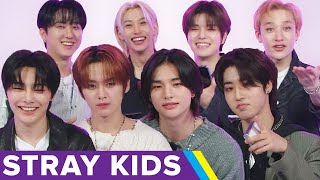 Stray Kids Finds Out Which SKZ Members They Actually Are [upl. by Darum]