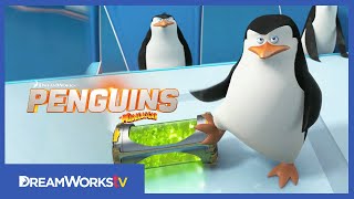 quotNorth Wind Headquartersquot Clip  PENGUINS OF MADAGASCAR [upl. by Erasmo]