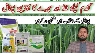 how to use potash in wheat crop  best foliar potash for wheat 🌾 [upl. by Dodwell288]