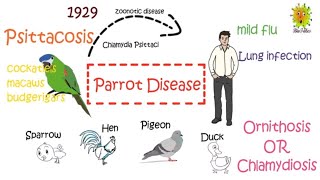 Parrot Disease Psittacosis  Symptoms Treatment and Prevention [upl. by Adnamma]