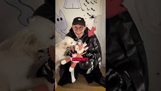 Ich habe das LIEBLINGSSPIELZEUG von meinem Hund entführt👻🙀 vlog hund halloween2024 [upl. by Silvestro]