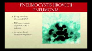 Approach to the patient with Pneumocystis pneumonia [upl. by Ailb]