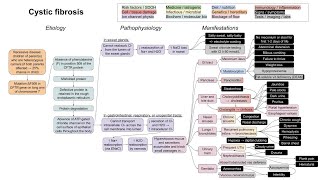 Cystic fibrosis mechanism of disease [upl. by Aanas67]