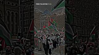 Long live Palestine everyone pray🇵🇸 shorts viralvideo [upl. by Rica]