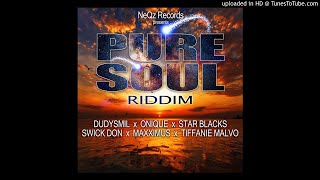 Pure Soul Riddim Mix Full Mar 2019 Feat Dudsymil Star Blacks Tiffanie Malvo Onique Swick Don [upl. by Igenia192]