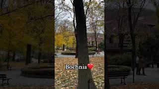 Bochnia polska poland widok pieknie travel city miasto autumn turystyka [upl. by Yssak]