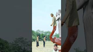 Nagraj vs Kaliya Nag funnyvideo nagin shorts [upl. by Esilegna]