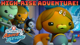 Octonauts Above amp Beyond  Dashis HighRise Adventure ⛅✈️  Compilation  Kidzuko [upl. by Sherborn]