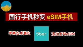 📱让不支持eSIM的手机秒变eSIM手机🥳国行手机也可以添加eSIM套餐、添加任何国家运营商eSIM卡⭕️5Ber eSIM 使用教程：境外eSIM卡保号、旅游eSIM流量从未如此简单｜数字牧民LC [upl. by Eeresid]