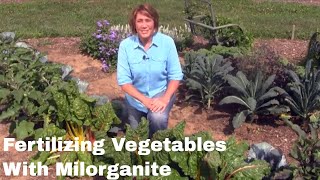 How to Fertilize Your Vegetable Garden with Milorganite [upl. by Mariken988]