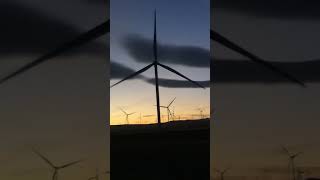 Wind fan 😲 nature shorts youtubeshorts subscribe [upl. by Nylesoj]