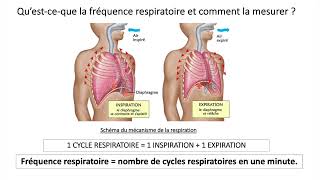 Mesurer la fréquence cardiaque et la fréquence respiratoire [upl. by Spillihp]