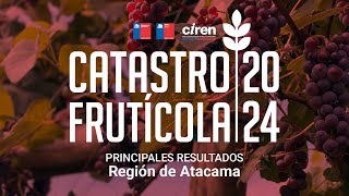 Catastro Frutícola 2024  Región de Atacama [upl. by Eissim921]