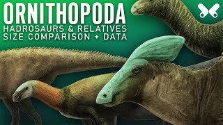 ORNITHOPODA Hadrosaurs and relatives Dinosaur size comparison Paleoart [upl. by Babby]