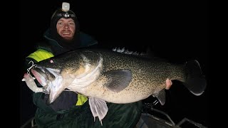 Ty Edmonds Cod on Lazy Mullet [upl. by Imuyam]