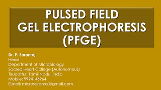 Pulsed Field Gel Electrophoresis PFGE [upl. by Naruq]