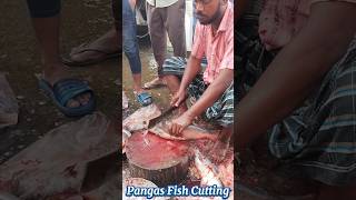 Amazing Great Delicious Pangas Fish Cutting Techniques  Fish Cutting Skills [upl. by Yllatan655]