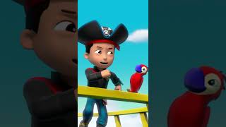 PAW Patrol  ¡PAW Patrol canta la canción de quotLos cachorros piratasquot Shorts [upl. by Takken]