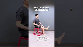 3 Seated knee Extension [upl. by Schultz]