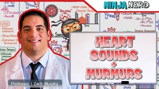 Heart Sounds amp Murmurs  Clinical Medicine [upl. by Fran]