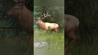 Hunting Reindeer  Way Of The Hunter  Hunting Clash animals hunting gaming [upl. by Atorod]