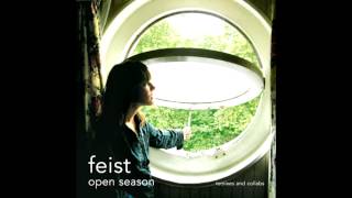 Feist  The Simple Story [upl. by Malissia]