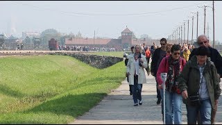 walking through auschwitz [upl. by Anirbas]