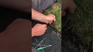 How To Fix Or Replace Your Sprinkler Head DIY [upl. by Fabron]