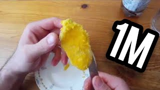 طريقة زراعة المانجو من البذرة في منزلك how to grow mango seeds [upl. by Veronica]