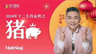 【2024年甲辰龙年十二生肖运势之猪】｜十二生肖勢能解密 Wish to know more on 12 Zodiac Animals Forecast [upl. by Sucerdor164]