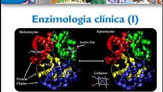 Bioquímica Clínica Enzimologia clinica parte I [upl. by Rodriguez]