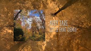 Avey Tare  Little Fang Demo [upl. by Espy]