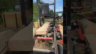 Milling Live Edge White Pine Siding [upl. by Lacsap]