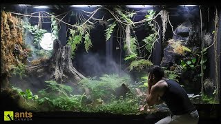 My Baby Crocodile is Hunting Land Creatures in My Giant Rainforest Vivarium [upl. by Anivel]