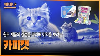 매경TEST 시사용어ㅣ원조 제품의 강점을 따라해 이익을 보려는 카피캣 [upl. by Dibri]