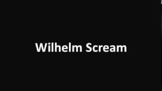 Wilhelm Scream sound effect [upl. by Assiralc]