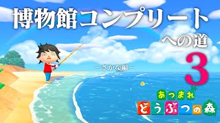 【生放送】あつまれどうぶつの森「博物館コンプリート」目指す配信〜さかな編〜３ [upl. by Oht162]