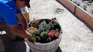 Decomposed Granite Container Gardening 4 [upl. by Stucker]