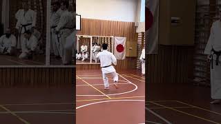 ArimotoSensei demonstrates both jumps in kata Kankusho [upl. by Eedissac]