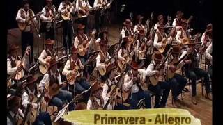 Primavera Allegro  Orquestra Paulistana de Viola Caipirawmv [upl. by Oakie]