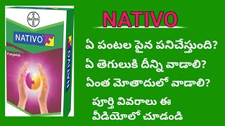 Best fungicide Bayer Nativo full specifications In teluguNativo fungicide full informationagri [upl. by Mathe480]