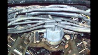 Grand Cherokee Limited 52 V8  Miki Motors [upl. by Alenairam874]