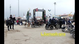 XLIV Feira Nacional do CavaloGolegã 2019 [upl. by Rehpotsrihc]