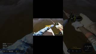 Call Of The Wild The Angler  Sidewinder 17102024 gaming fishing theangler gameplay explore [upl. by Osugi507]