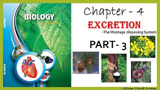 Excretion  The wastage disposing system 10th Biology Part3 [upl. by Leoy]