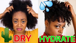 Top 5 BEST MOISTURIZERS for DRY Type 4 Hair I Cant Live Without These [upl. by Yenitirb417]