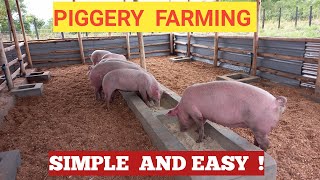 How To START A PIG FARM Business As A BEGINNER  DETAILED [upl. by Aronid]