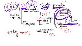 USMLE ACE Video 144 Distribution of Intracellular fluid ICF and Extracellular Fluid ECF [upl. by Byrd]